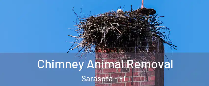 Chimney Animal Removal Sarasota - FL
