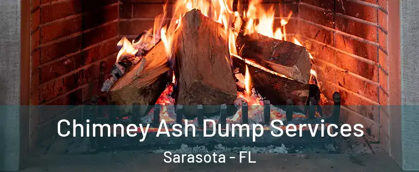  Chimney Ash Dump Services Sarasota - FL
