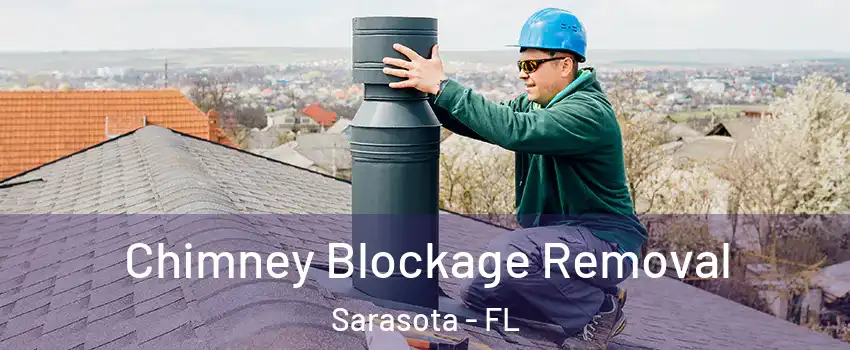  Chimney Blockage Removal Sarasota - FL