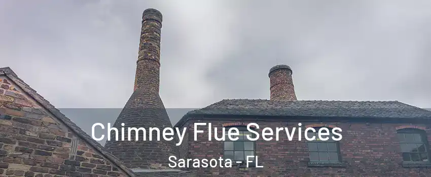  Chimney Flue Services Sarasota - FL