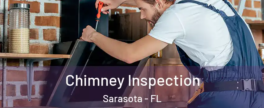  Chimney Inspection Sarasota - FL