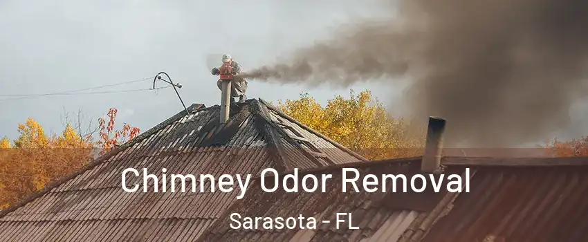  Chimney Odor Removal Sarasota - FL