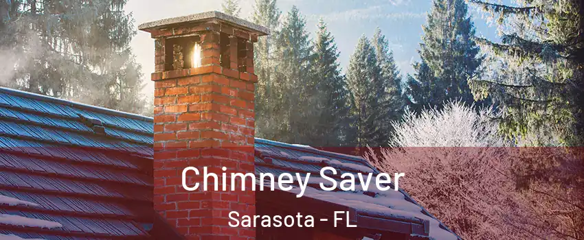 Chimney Saver Sarasota - FL
