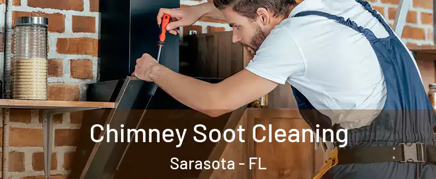  Chimney Soot Cleaning Sarasota - FL
