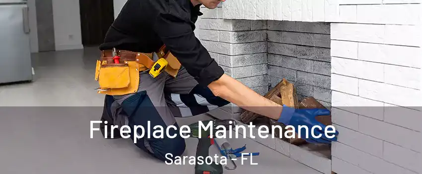  Fireplace Maintenance Sarasota - FL