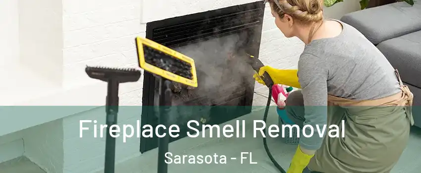  Fireplace Smell Removal Sarasota - FL