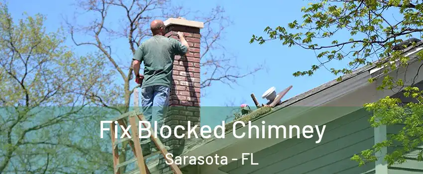  Fix Blocked Chimney Sarasota - FL