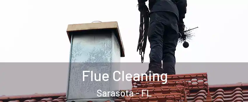  Flue Cleaning Sarasota - FL
