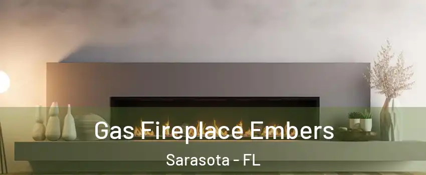  Gas Fireplace Embers Sarasota - FL