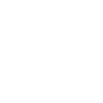 Professional Chimney Flue Installation in Sarasota, Florida