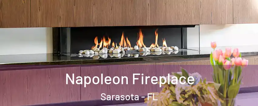  Napoleon Fireplace Sarasota - FL